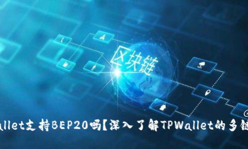 TPWallet支持BEP20吗？深入了解TPWallet的多链功能