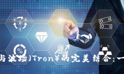 TokenPocket钱包与波场（Tron）的完美结合：一站式数字资产管理