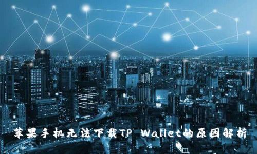 苹果手机无法下载TP Wallet的原因解析