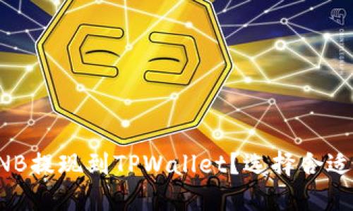 如何将BNB提现到TPWallet？选择合适的链指南