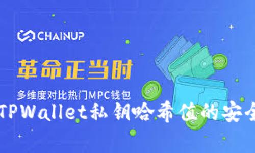 深入解析TPWallet私钥哈希值的安全性与应用