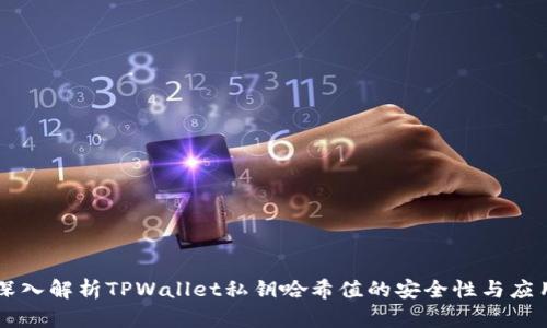 深入解析TPWallet私钥哈希值的安全性与应用