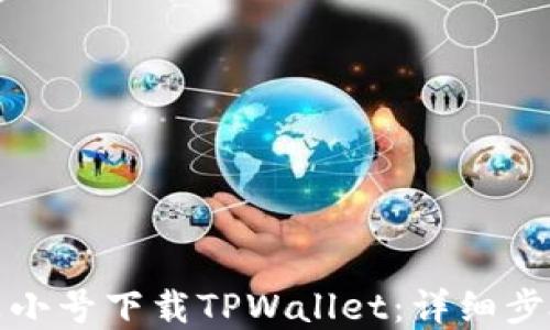 
如何在非小号下载TPWallet：详细步骤与技巧