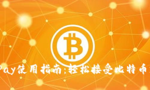 BitPay使用指南：轻松接受比特币支付