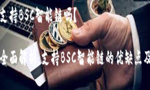 tpwallet支持BSC智能链吗？

tpwallet全面解析：支持BSC智能链的优缺点及使用指南