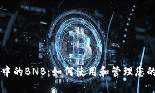 TPWallet中的BNB：如何使用和管理您的加密资产