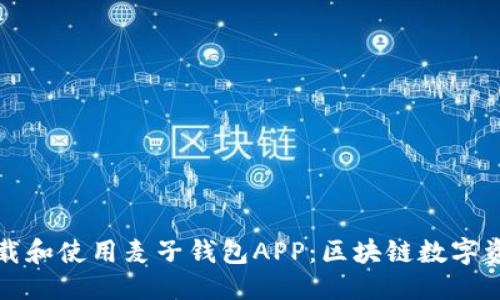 标题  
如何安全下载和使用麦子钱包APP：区块链数字资产管理利器