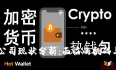 TPWallet公司现状分析：面临的挑战与发展潜力