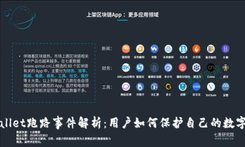 TPWallet跑路事件解析：用户如何保护自己的数字资产