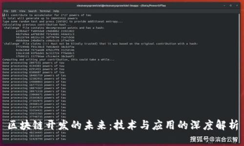 区块链开发的未来：技术与应用的深度解析