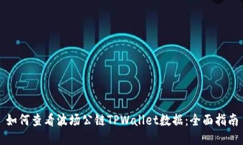 如何查看波场公链TPWallet数据：全面指南