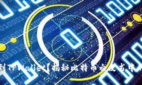 聪本聪如何提到TPWallet？揭秘比特币白皮书中的数字钱包思想