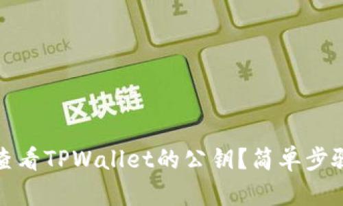 如何查看TPWallet的公钥？简单步骤详解