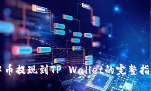 中币提现到TP Wallet的完整指南