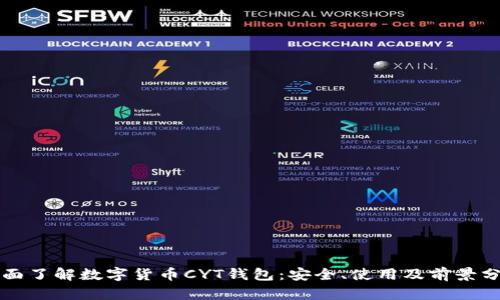 全面了解数字货币CYT钱包：安全、使用及前景分析