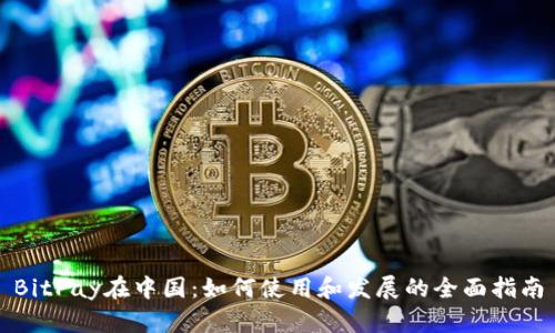 BitPay在中国：如何使用和发展的全面指南