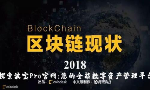 探索波宝Pro官网：您的全能数字资产管理平台