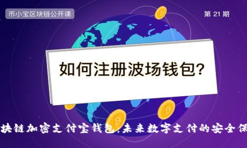 区块链加密支付宝钱包：未来数字支付的安全保障