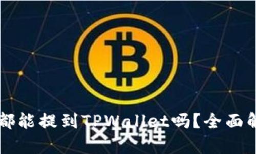 所有数字货币都能提到TPWallet吗？全面解析与实用指南