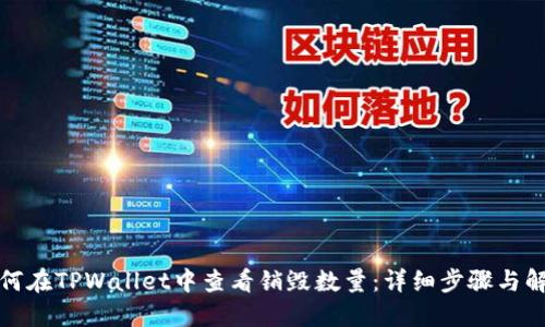 如何在TPWallet中查看销毁数量：详细步骤与解读