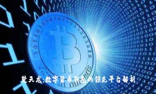 楚天龙：数字货币钱包的领先平台解析