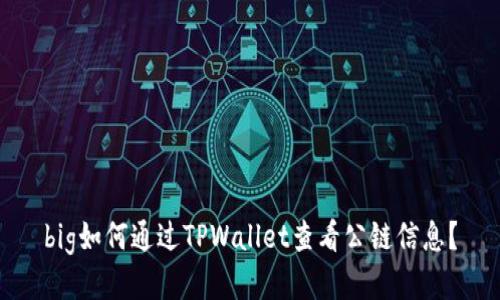 big如何通过TPWallet查看公链信息？