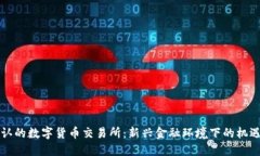 中国承认的数字货币交易所：新兴金融环境下的