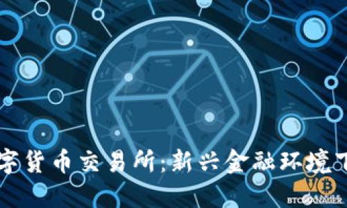 中国承认的数字货币交易所：新兴金融环境下的机遇与挑战