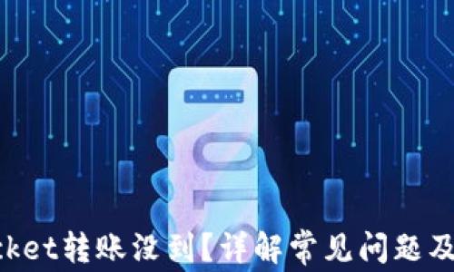 
TokenPocket转账没到？详解常见问题及解决方案