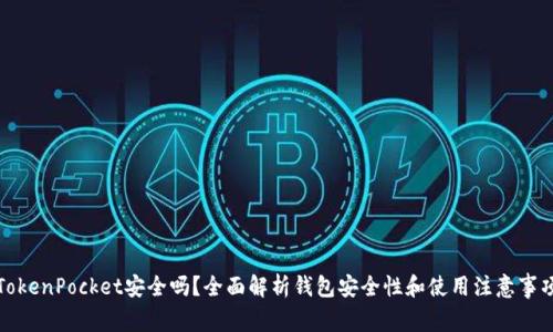 TokenPocket安全吗？全面解析钱包安全性和使用注意事项