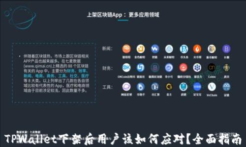 
TPWallet下架后用户该如何应对？全面指南