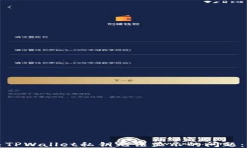 
如何解决TPWallet私钥无法显示的问题：全面指南