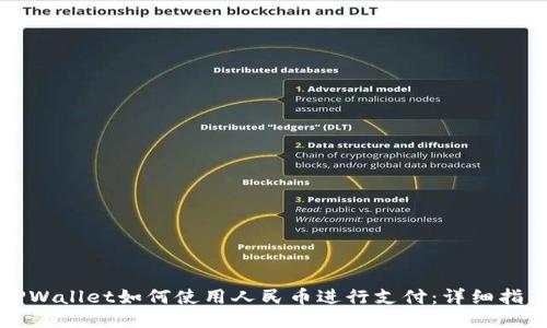 TPWallet如何使用人民币进行支付：详细指南