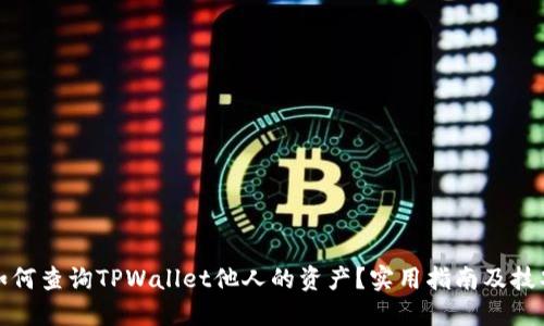 如何查询TPWallet他人的资产？实用指南及技巧