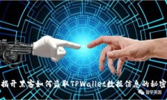 揭开黑客如何盗取TPWallet数据信息的秘密