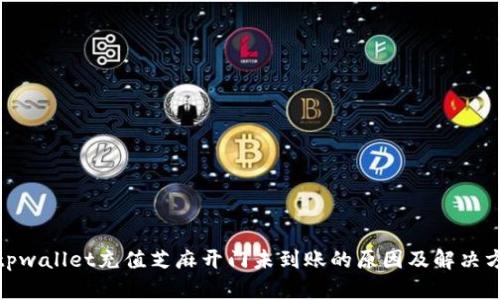 : tpwallet充值芝麻开门未到账的原因及解决方案