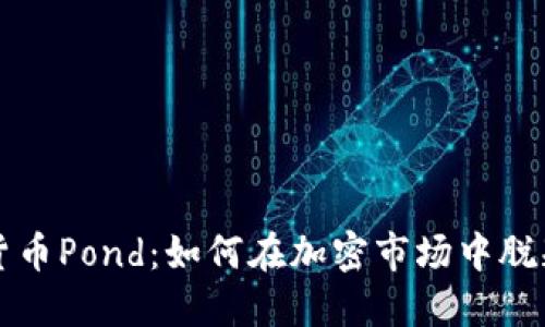 数字货币Pond：如何在加密市场中脱颖而出