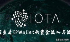 如何查看TPWallet的资金流入与流出？