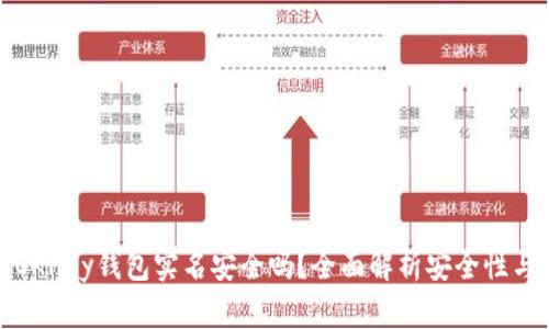 下载OKPay钱包实名安全吗？全面解析安全性与风险