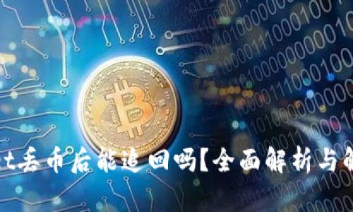 tpwallet丢币后能追回吗？全面解析与解决方案