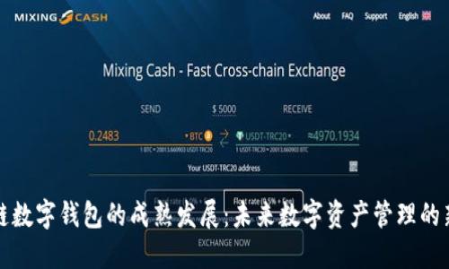区块链数字钱包的成熟发展：未来数字资产管理的新趋势