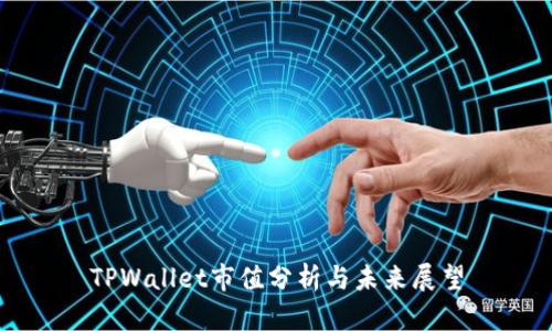 TPWallet市值分析与未来展望