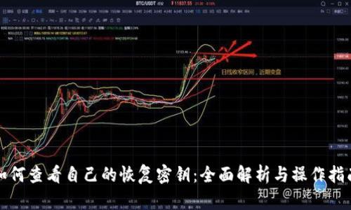 如何查看自己的恢复密钥：全面解析与操作指南