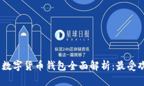 : 2023年中国数字货币钱包全面解析：最受欢迎的几个选择