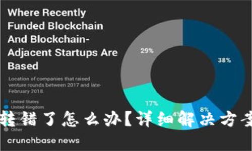 TPWallet币转错了怎么办？详细解决方案与应对技巧