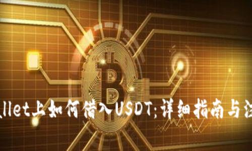 在TPWallet上如何借入USDT：详细指南与注意事项