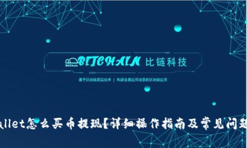 TPWallet怎么买币提现？详细操作指南及常见问题解答