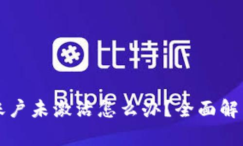 : TPWallet账户未激活怎么办？全面解析与解决方案