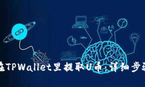 如何在TPWallet里提取U币：详细步骤指南