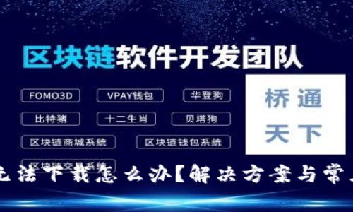 TPWallet无法下载怎么办？解决方案与常见问题解析